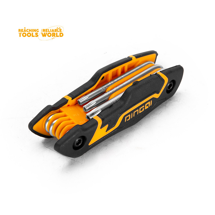 ایران دینگی