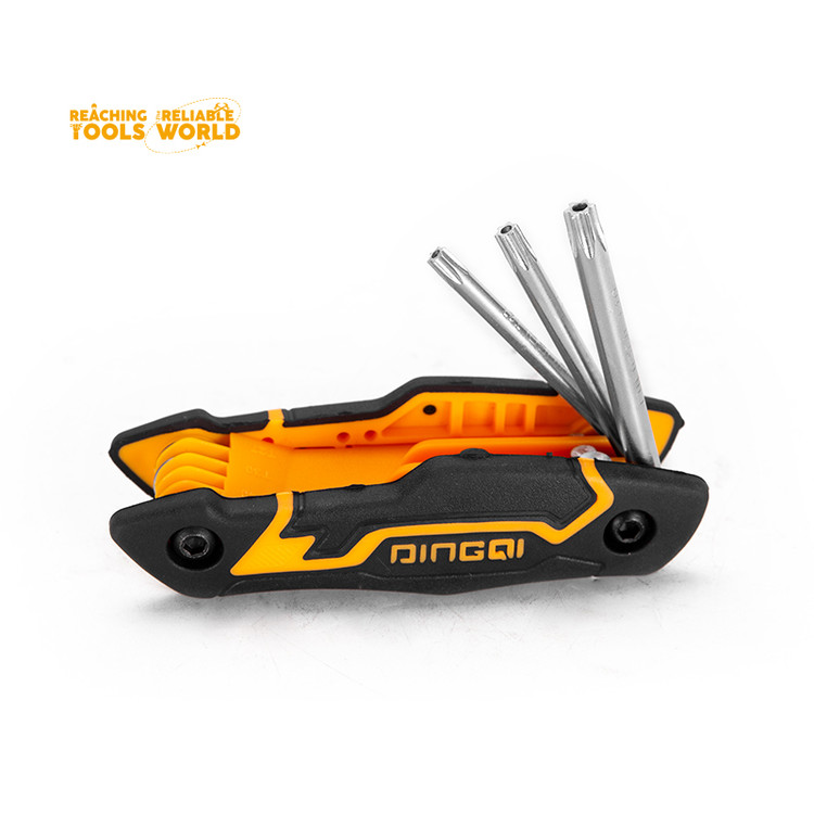 ایران دینگی