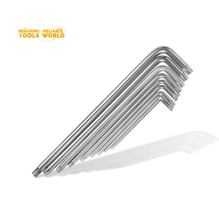 ایران دینگی