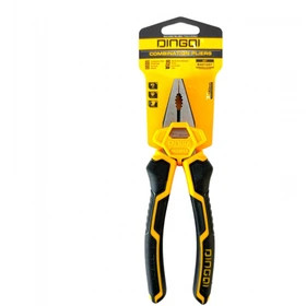 ایران دینگی