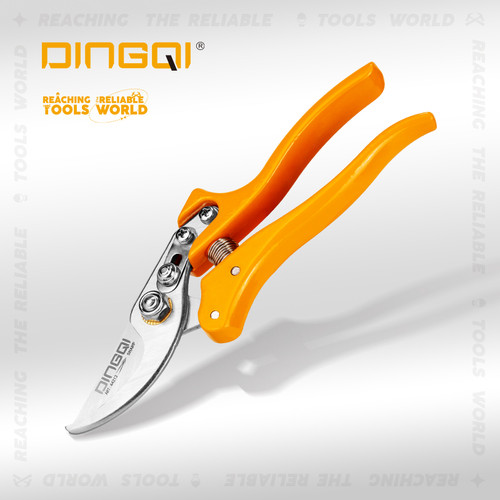 ایران دینگی